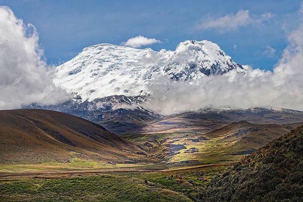 Jones, Adam 아티스트의 Antisana volcano-Antisana National Park-Ecuador작품입니다.